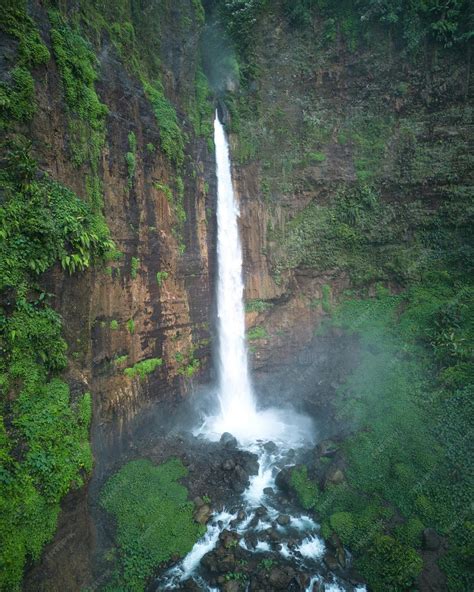 Nature Background HD 的图像结果
