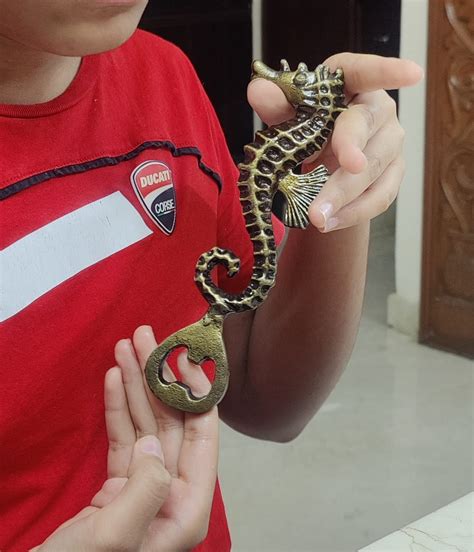 Buy Two Moustaches Sea Horse Design Metal Bottle Opener, Antique Brown ...