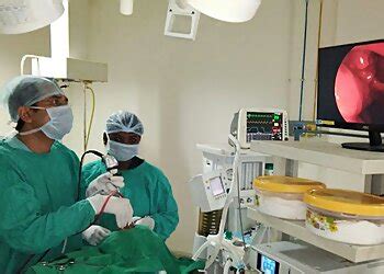 3 Best ENT Doctors in Bhopal, MP - Expert Recommendations