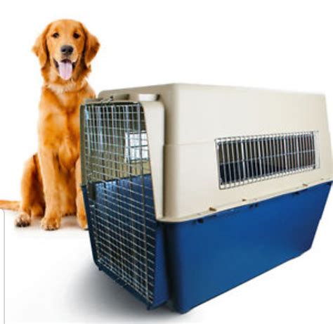 Xxl Airline Approved Dog Crate at David Masterson blog
