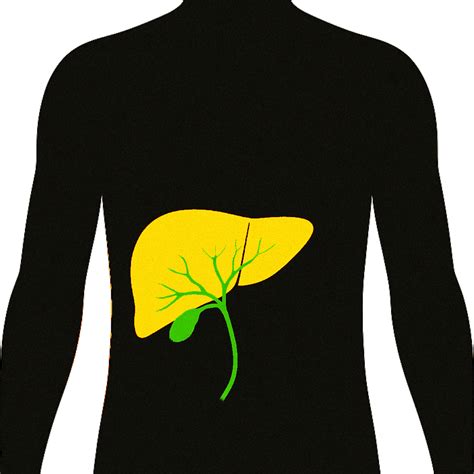 GGT Test | Ulta Lab Tests