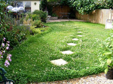 Microclover Lawn 的图像结果