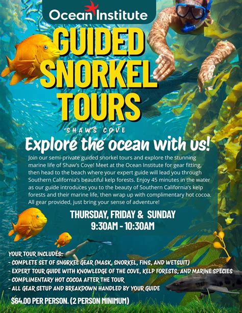 Guided Snorkel Tours, 24200 Dana Point Harbor Dr, Dana Point, CA ...