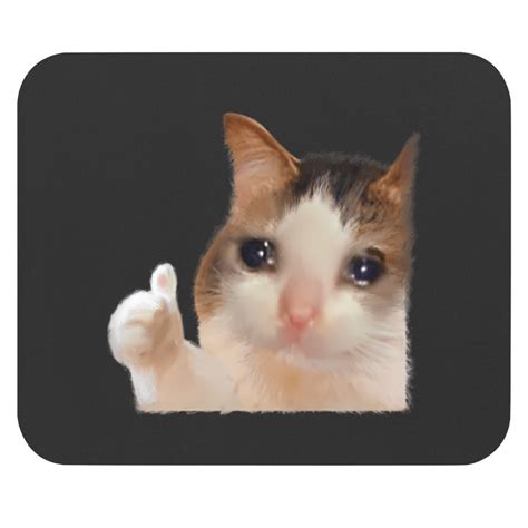 Thumbs up crying cat meme cat crying thumps up memes sad cat t Mouse ...
