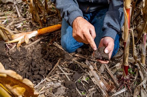 Media Assets Library | Cargill India