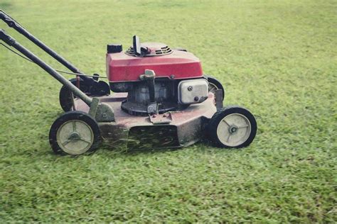 Macchinetta tagliaerba o rasaerba robot? Questo è il  