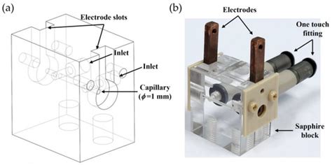 One-Body Capillary Plasma Source for Plasma Accelerator Research at e-LABs