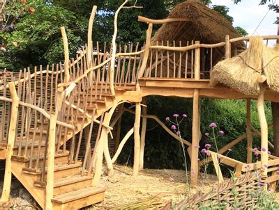 Treehouse 的图像结果