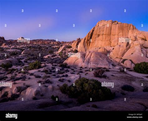 Landscape in Joshua Tree National Park, California, USA, where the Mojave and Colorado desert ...