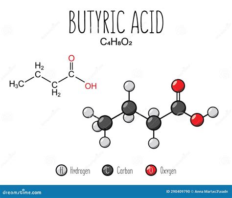 Butyric Acid Structure Chemical Structure Butyric Acid C3h7cooh Stock