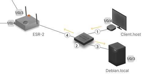 Image result for ARP Trap Tutorial