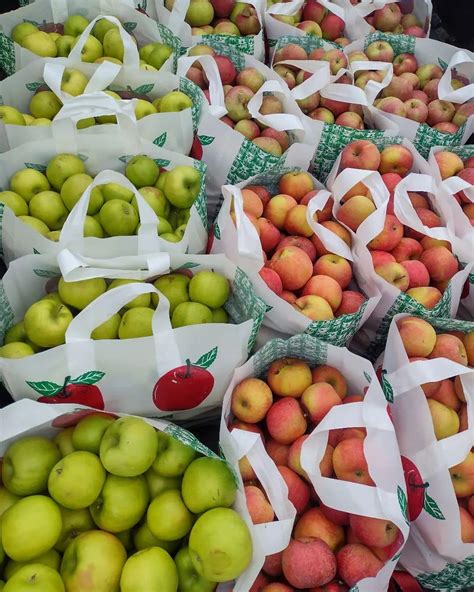 Where are the Best U-Pick Apple Orchards in Michigan?