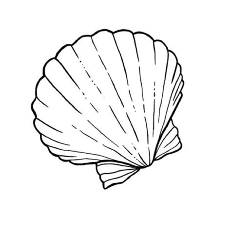 Image result for Shell Template