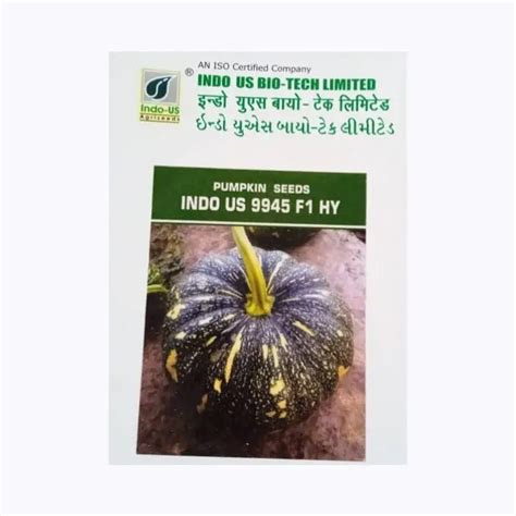 Buy Indo-Us 9945 Pumpkin Seeds Online at the Best Price. - KisanShop