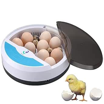 TACKLY Incubator for Hatching Chicken Eggs with Automatic Temperature ...