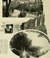 Image result for UT Phase Array
