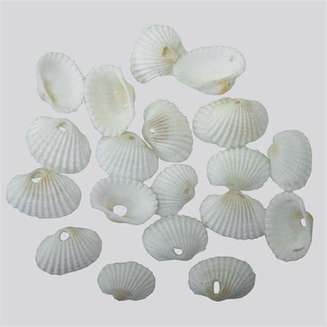 Buy Cup Shell online for crafting at best prices – embroiderymaterial.com