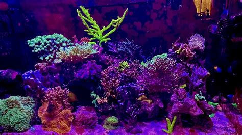 Image result for Red Sea File System