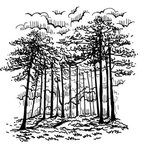 Odisha Toursit Destinations | Places to Visit - Eastern Vision Tours