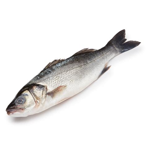 Jumbo Branzino Fish | FreshDirect