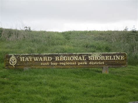 Adventures in Weseland: A Walk at the Hayward Regional Shoreline