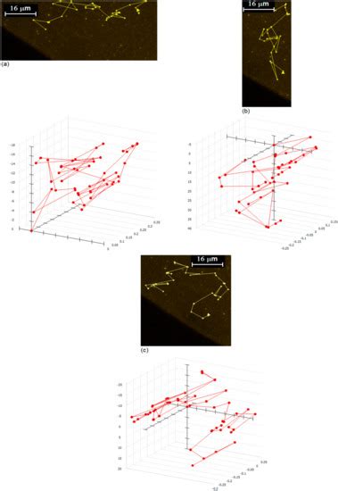 3D Nanoparticle Tracking Inside the Silver Nanofluid