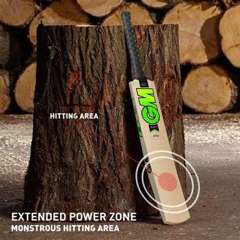 GM Zelos II Apex Kashmir Willow Cricket Bat – Sportswing.in
