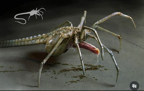 Image result for Alien Facehugger Types