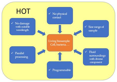 Holographic Optical Tweezers: Techniques and Biomedical Applications
