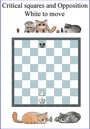 Opposition & Critical Squares: The most important Chess Pattern. A ...