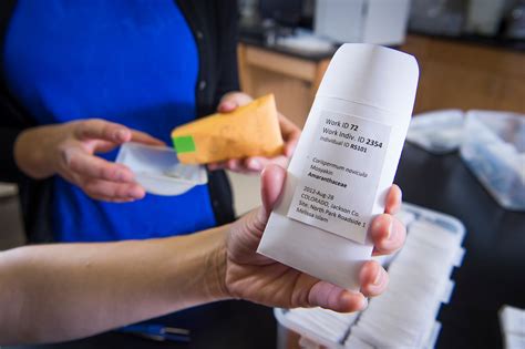 Image result for Process Germline Tissue Sample