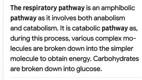 -Discuss. "The respiratory pathway is anamphibolic pathway". - Brainly.in