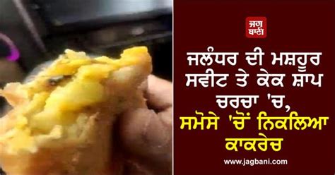 ਜਲੰਧਰ ਦੀ ਮਸ਼ਹੂਰ ਸਵੀਟ ਤੇ ਕੇਕ ਸ਼ਾਪ ਚਰਚਾ 'ਚ, ਸਮੋਸੇ 'ਚੋਂ ਨਿਕਲਿਆ ਕਾਕਰੇਚ