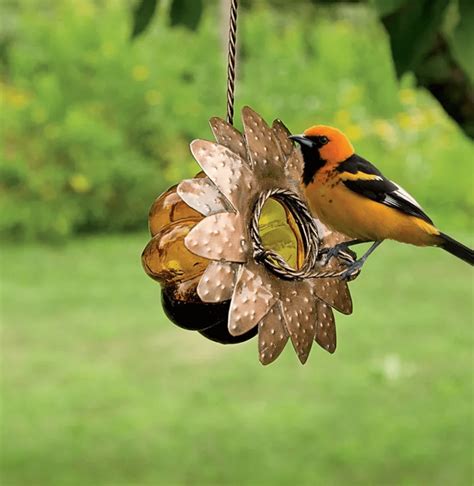 Oranges And Jelly For Birds at Sam Hamby blog