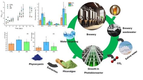 Mixotrophic Cultivation of Arthrospira platensis (Spirulina) under Salt ...