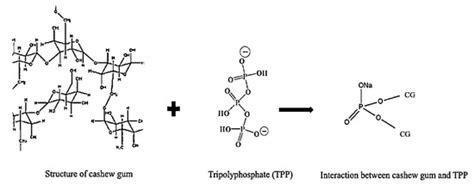 The Potential Role of Polyelectrolyte Complex Nanoparticles Based on ...