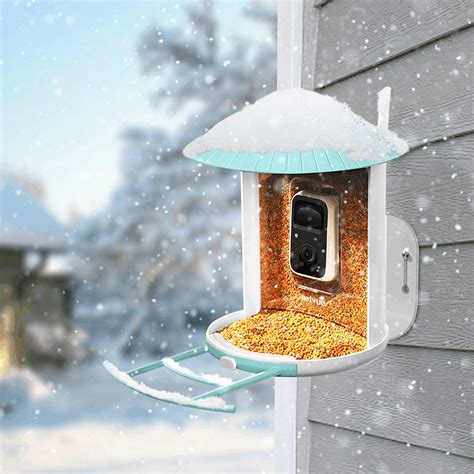 Bird Feeder With Camera, Hd 1080p Night-version Video Wifi Hotspot ...