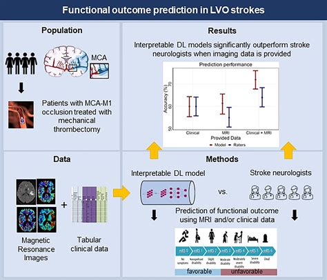 Deep Learning Versus Neurologists: Functional Outcome Prediction in LVO ...