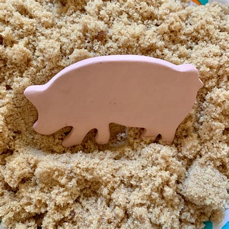 Brown Sugar Saver Pig Piglet, Terra Cotta, Humidity Disk, Moisture ...
