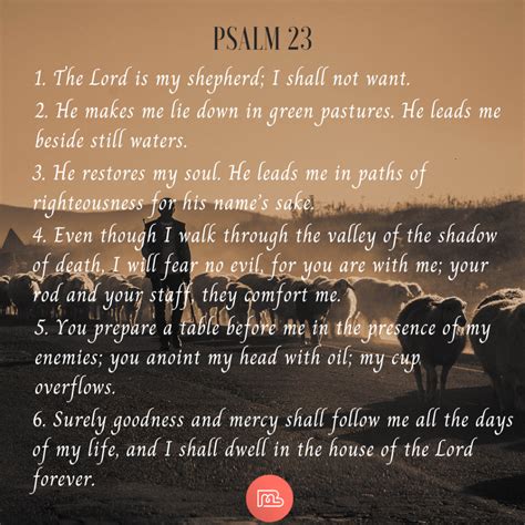 The Meaning of Psalm 23: God is with You Throughout Your Life - Binmin