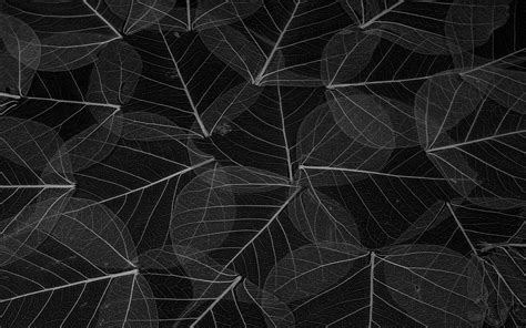 Image result for DFS Graph Algorithm Java