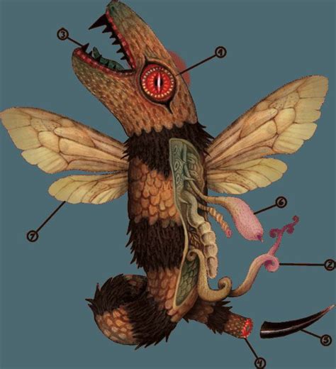 BioMess 的图像结果