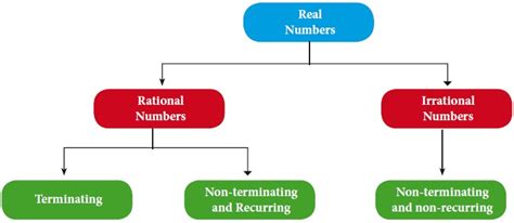 Image result for Example of Real Numbers