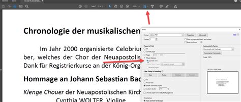 Image result for Print Current View