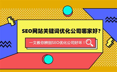 如何选择seo公司（seo推广优化公司哪家好）-8848SEO
