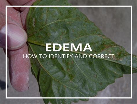 Educational – Atlas Peat and Soil