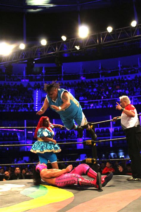 Aaa Lucha Libre Roster - gomenu