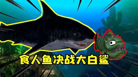 海底大猎杀：食人鱼组建军团，大战深海霸主大白鲨_好看视频