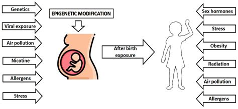 Genetic and Epigenetic Factors in Risk and Susceptibility for Childhood ...