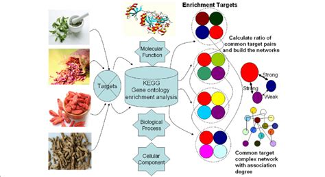 Algorithm Mining 的图像结果